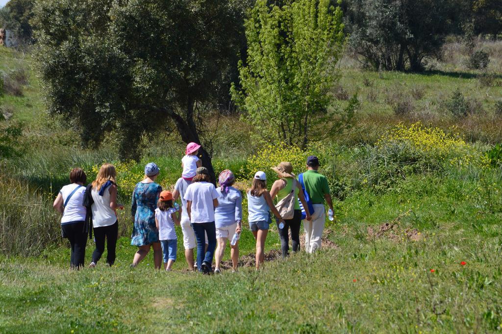 Monte Chalaca - Turismo Rural Ferreira Do Alentejo Bagian luar foto